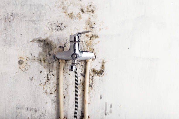 Best Mold Testing  in Red Bank, NJ