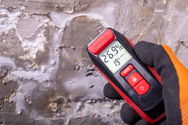 Best Mold Removal Near Me  in Red Bank, NJ